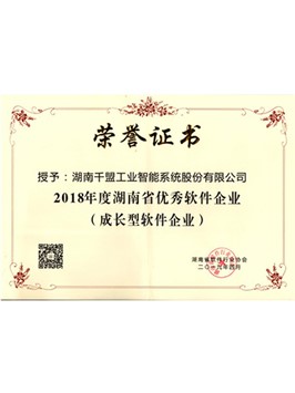 2018 Excellent Software Enterprise of Hunan Province